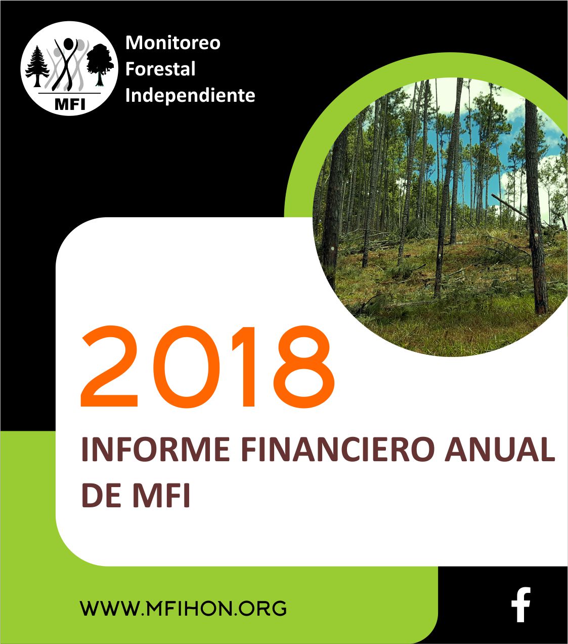 INFORME FINANCIERO 2018
