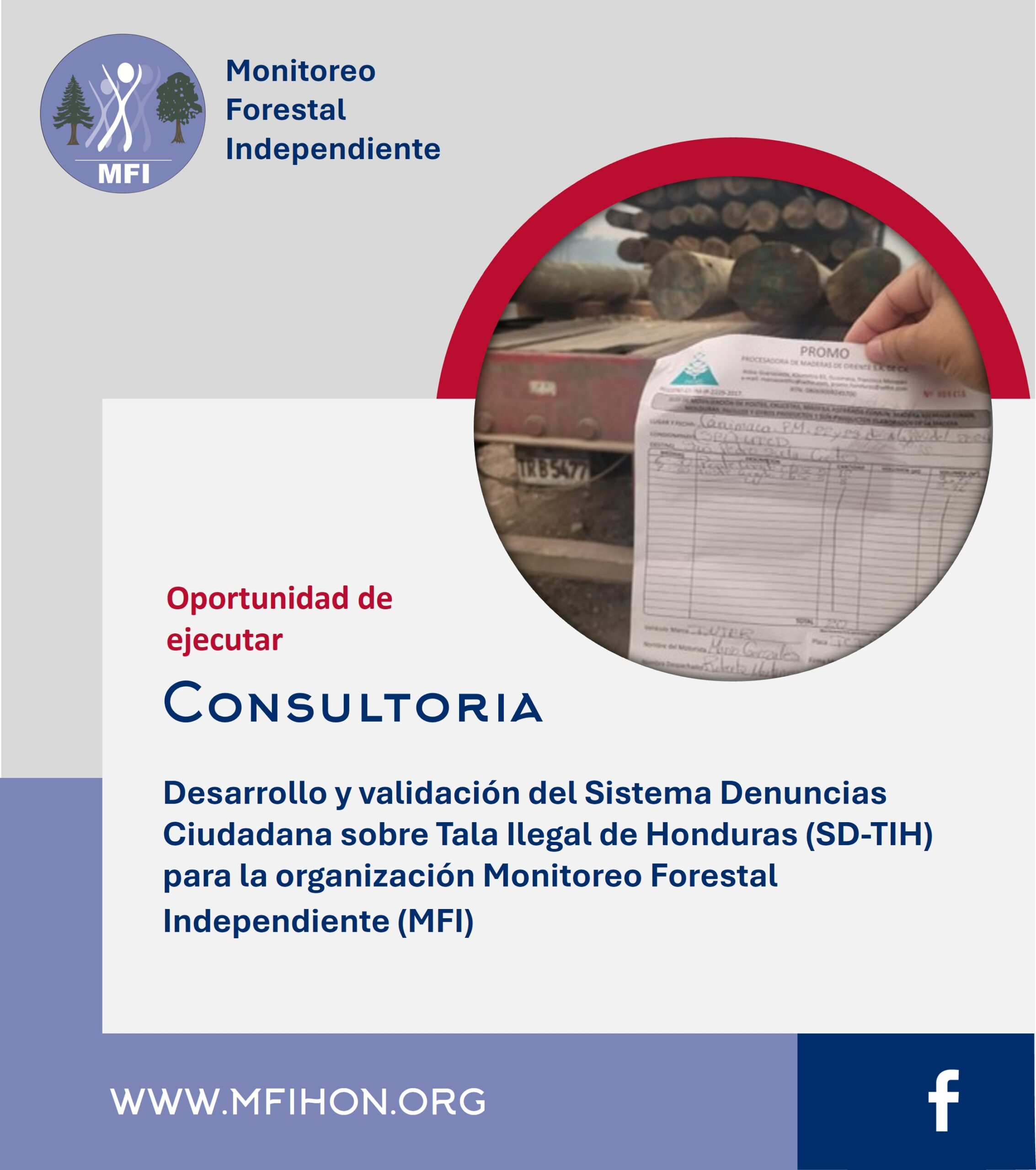 OPORTUNIDAD DE CONSULTORÍA